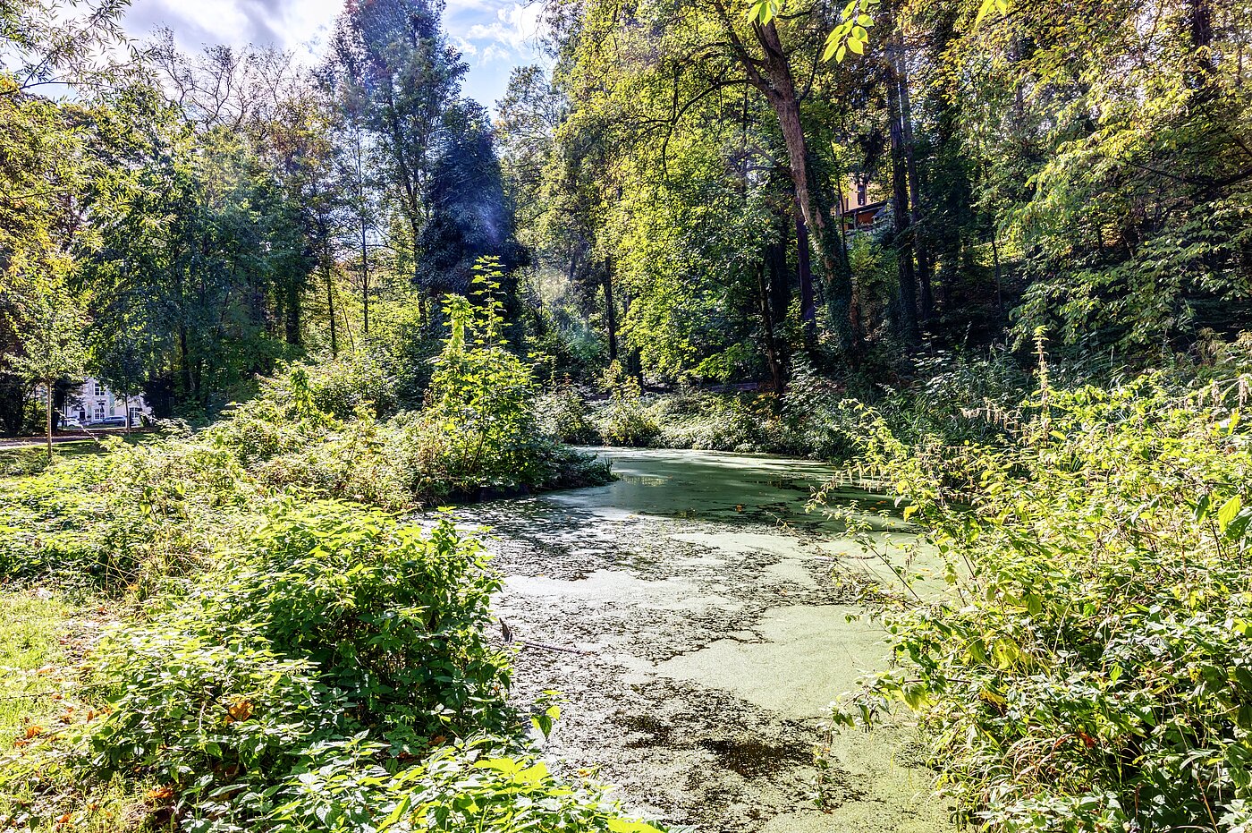 多层公寓 与 2 房间 | München-Thalkirchen | 70493 | Viel Natur