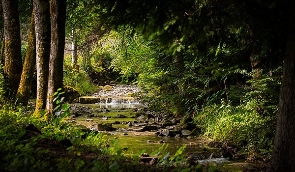 一楼公寓 与 3 房间 | Bad Wiessee | 70053 | Zeiselbach