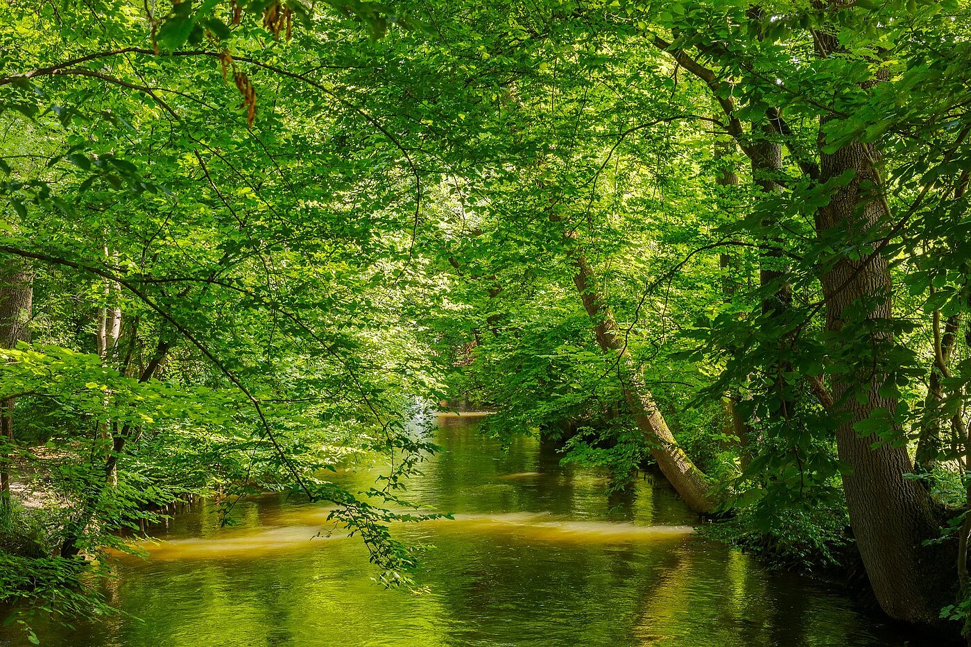 多层公寓 与 2 房间 | München-Pasing | 2108ML1 | Naherholung im Stadtpark
