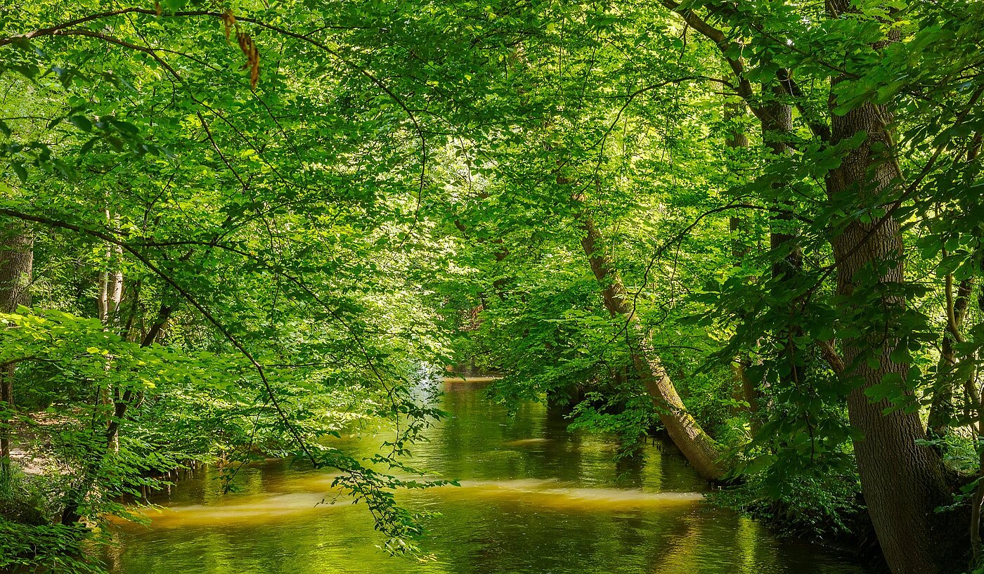 多层公寓 与 2 房间 | München-Pasing | 2108ML1 | Naherholung im Stadtpark