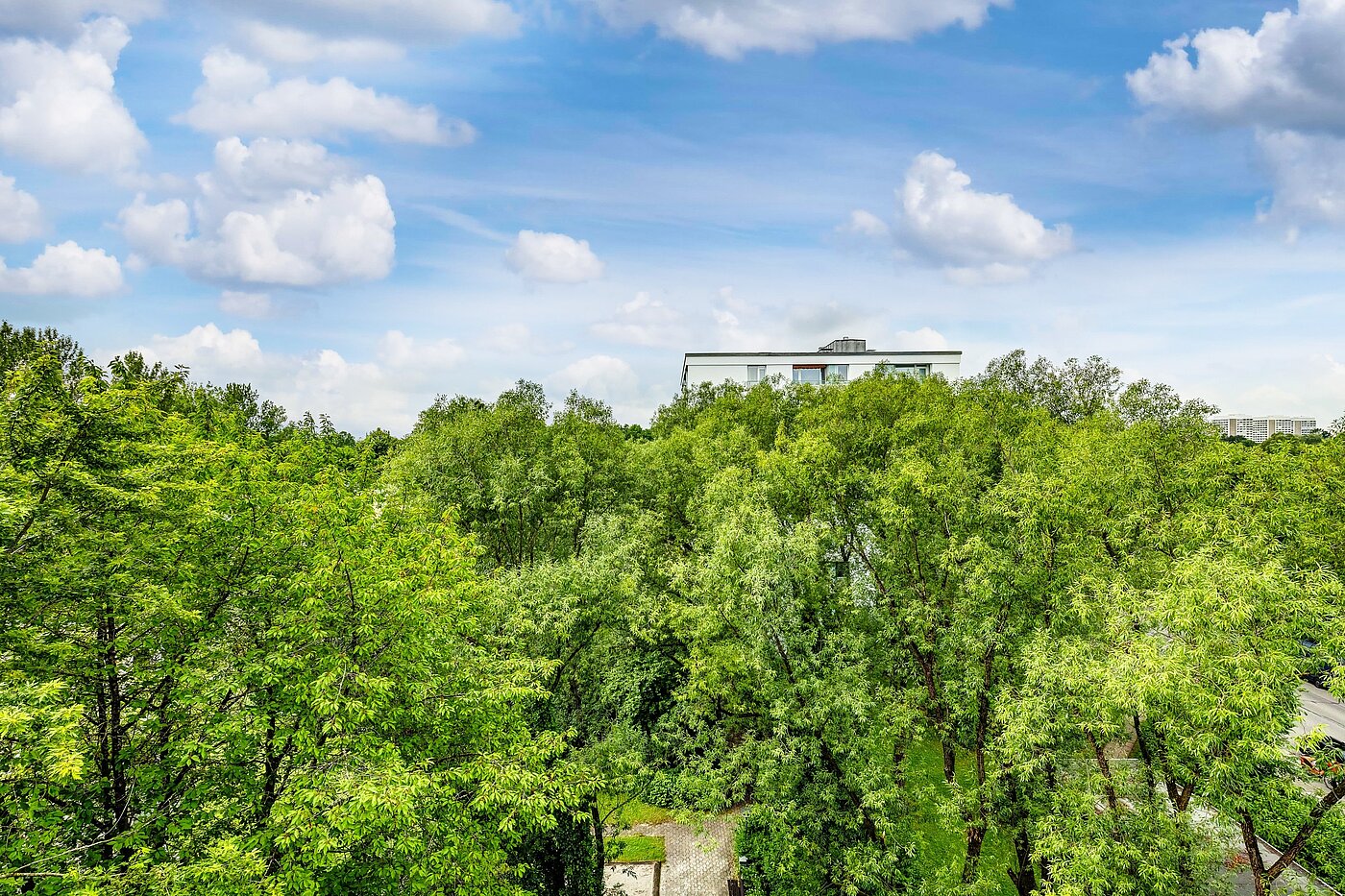 多层公寓 与 2 房间 | München-Bogenhausen | 2206ML3 | Sommerimpressionen