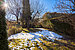 排角屋 与 5.5 房间 | München-Trudering | 702531 | Eingewachsener Garten | Thumbnail