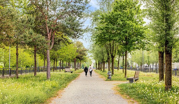 多层公寓 与 2 房间 | München-Sendling-Westpark | 704131 | Grüne Umgebung