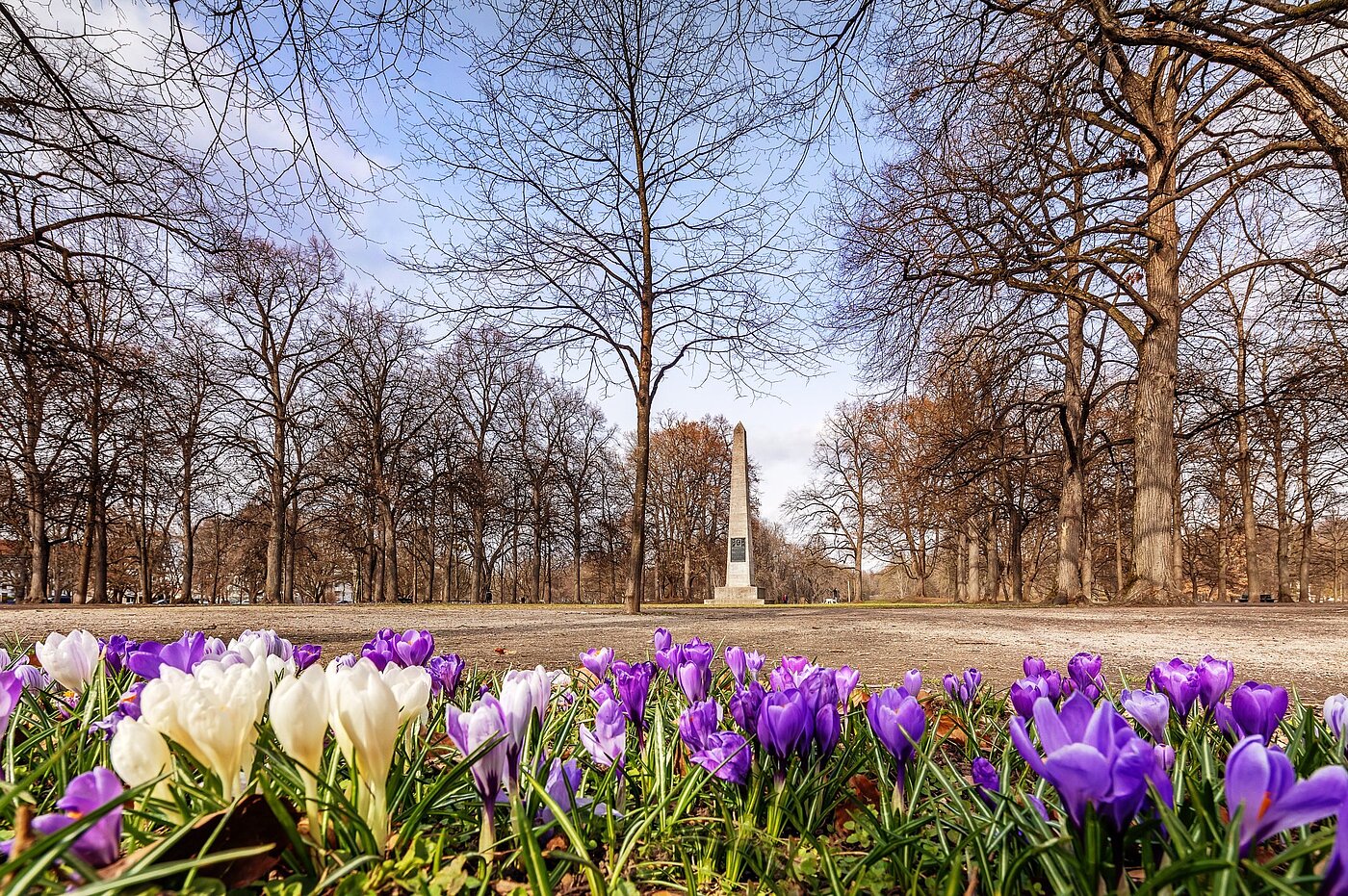 多层公寓 与 2 房间 | München-Schwabing | 2102ML3 | Der Luitpoldpark
