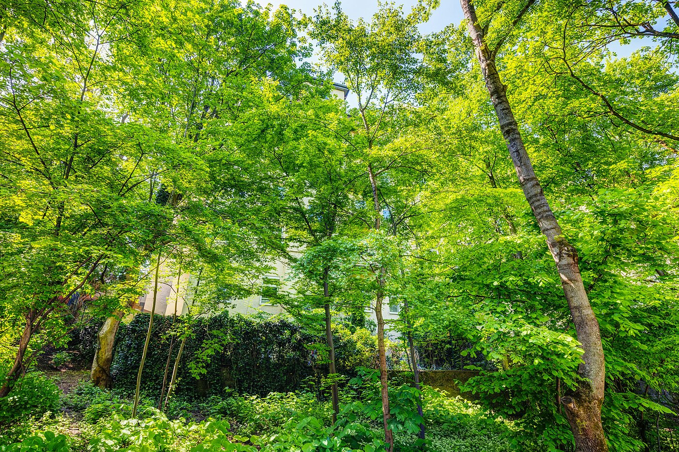 多层公寓 与 2.5 房间 | München-Sendling | 70067 | ...versteckt hinter Bäumen