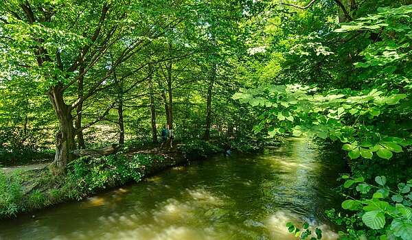 联排别墅 与 6 房间 | München-Pasing | 2007ML5 | Die Würm um die Ecke