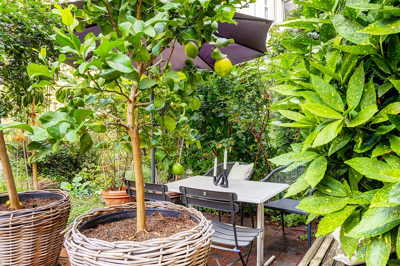 一楼公寓 与 1 房间 | München-Haidhausen | 70228 | ...Südfrüchten und...