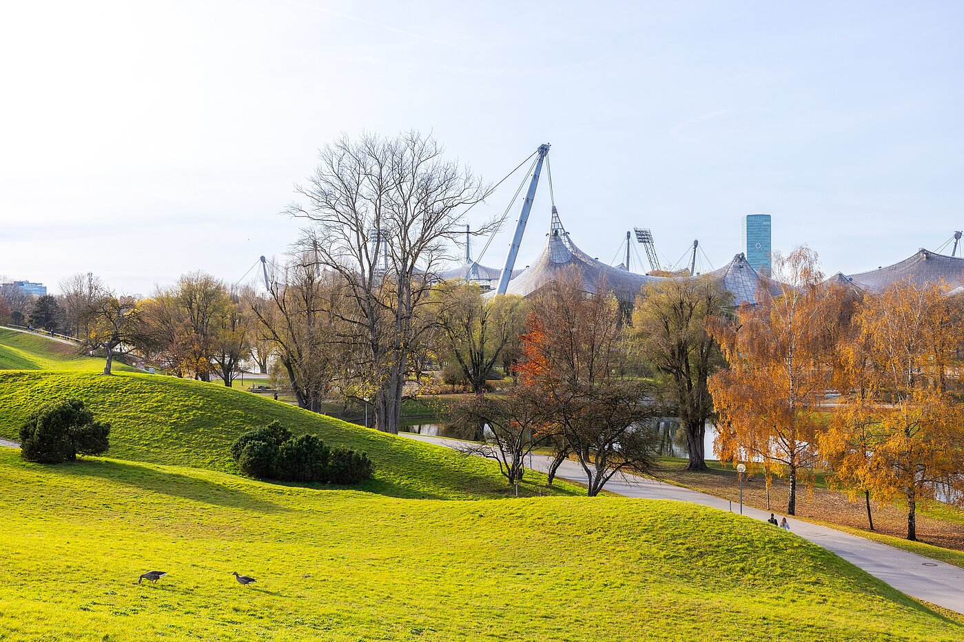 多层公寓 与 3 房间 | München-Schwabing | 70318 | Naherholung