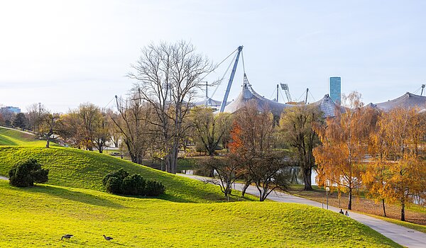 多层公寓 与 3 房间 | München-Schwabing | 70318 | Naherholung