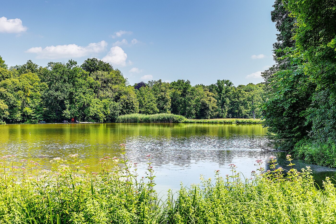 多层公寓 与 2 房间 | München-Nymphenburg | 2107ML3 | verweilen ein