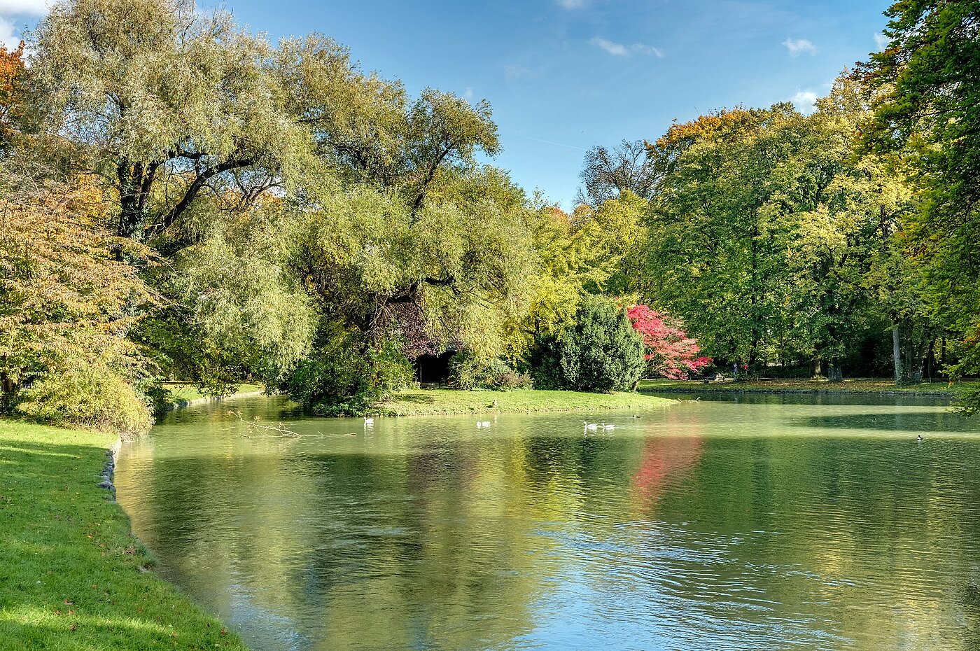 高架层 与 2 房间 | München-Lehel | 2012ML1 | Herbst im Englischen Garten