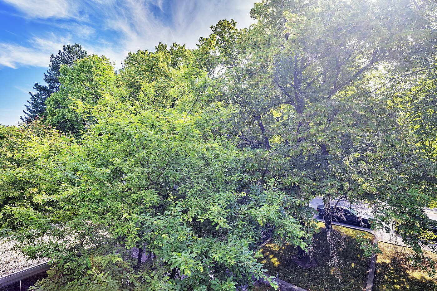 多层公寓 与 3.5 房间 | München-Bogenhausen | 70267 | ...Ausblick ins Grüne