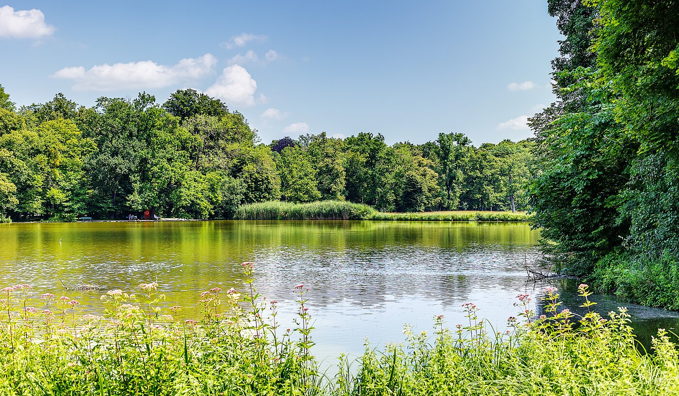 多层公寓 与 2.5 房间 | München-Obermenzing | 700191 | Badenburger See