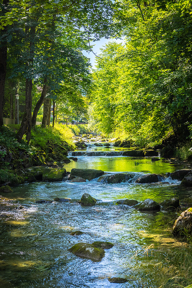 特殊房产 与 15 房间 | Bad Wiessee | 701592 | Söllbach