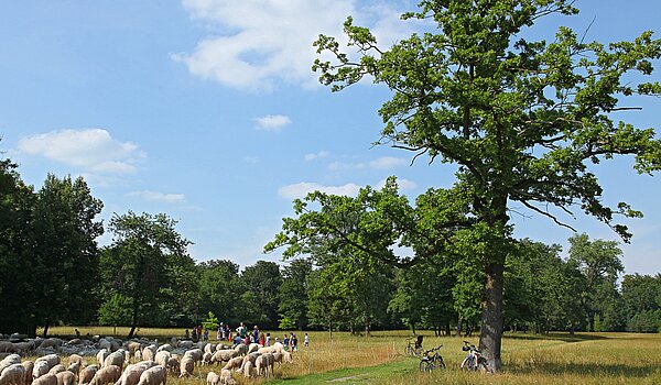 顶层公寓 与 3.5 房间 | München-Oberföhring | 70237 | Englischer Garten