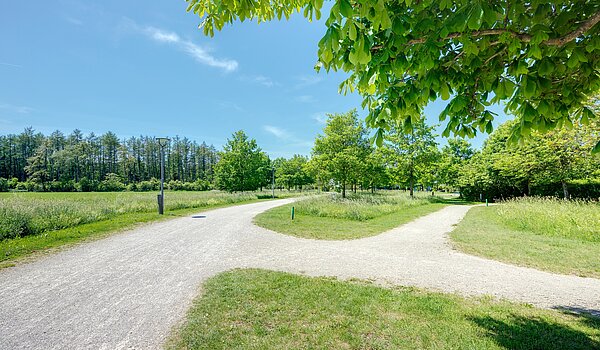 排角屋 与 6 房间 | München-Trudering | 70191 | ...Impressionen