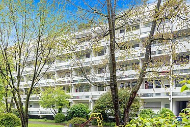 Neuhausen：位于热门地段的一室公寓