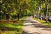 公寓 与 1 房间 | München-Solln | 70499 | Ruhige Umgebung... | Thumbnail