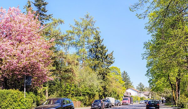 多层公寓 与 3.5 房间 | München-Bogenhausen | 703052 | Ruhige Nachbarschaft