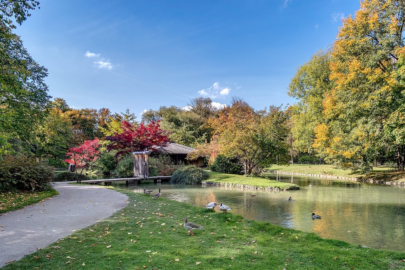 多层公寓 与 3 房间 | München-Schwabing | 1912ML4 | Englischer Garten um die Ecke