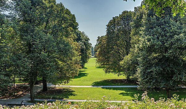 多层公寓 与 1 房间 | München-Schwabing | 70454 | Luitpoldpark