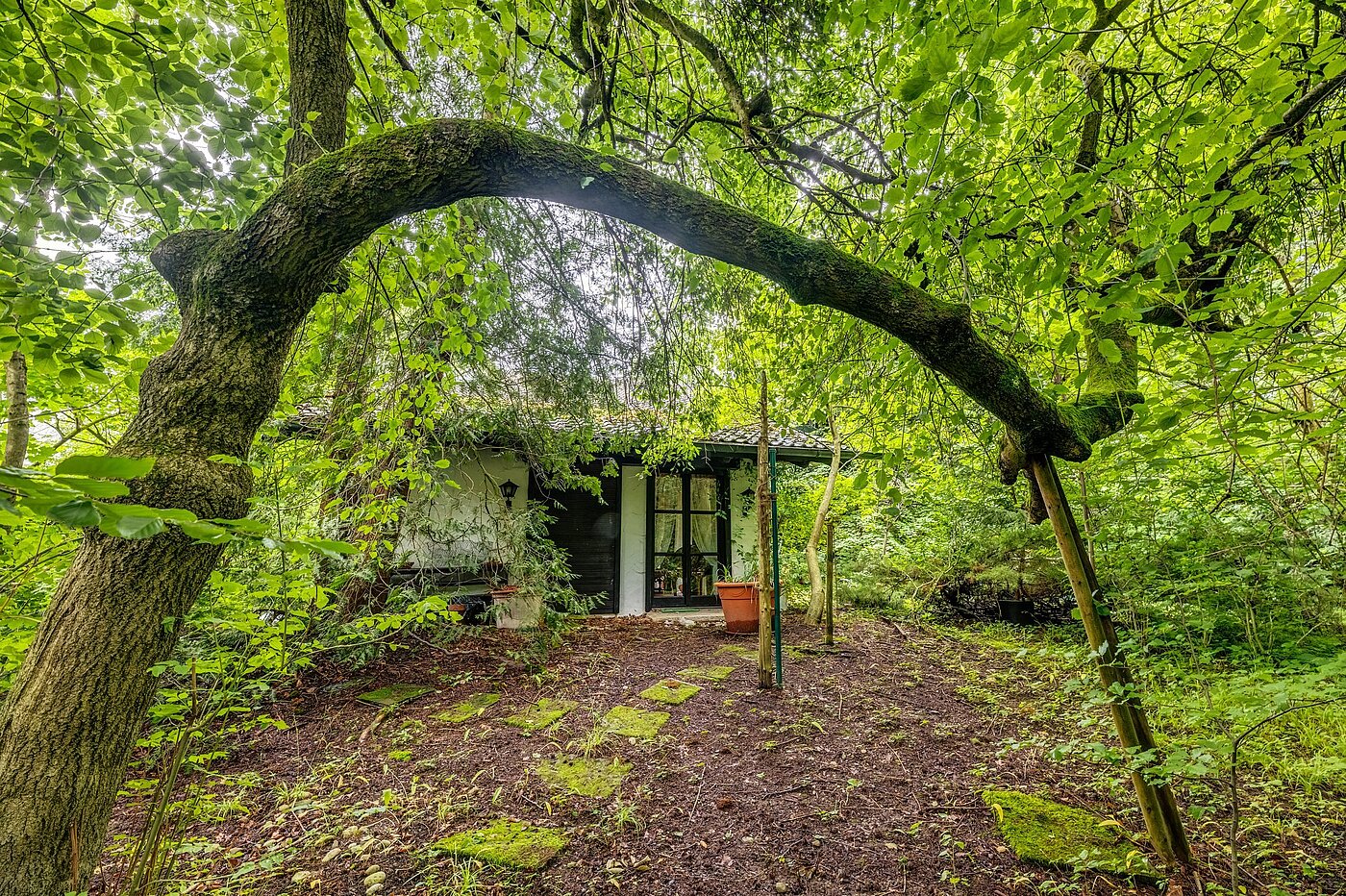 地块 | 1767m² | Gräfelfing | 2106ML10 | Dicht eingewachsen