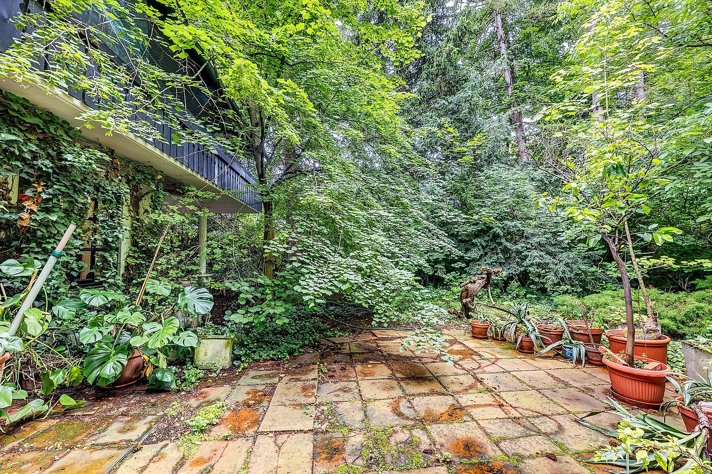 地块 | 1767m² | Gräfelfing | 2106ML10 | Terrasse