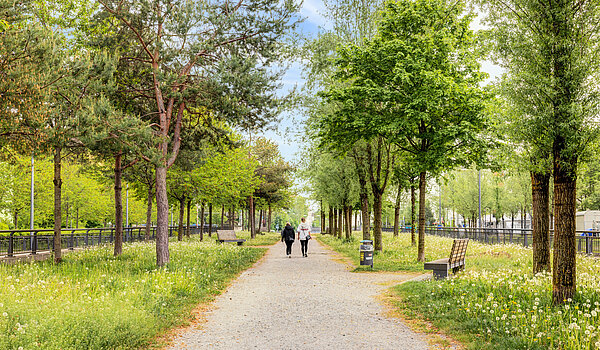 多层公寓 与 2 房间 | München-Sendling-Westpark | 70413 | Grüne Umgebung