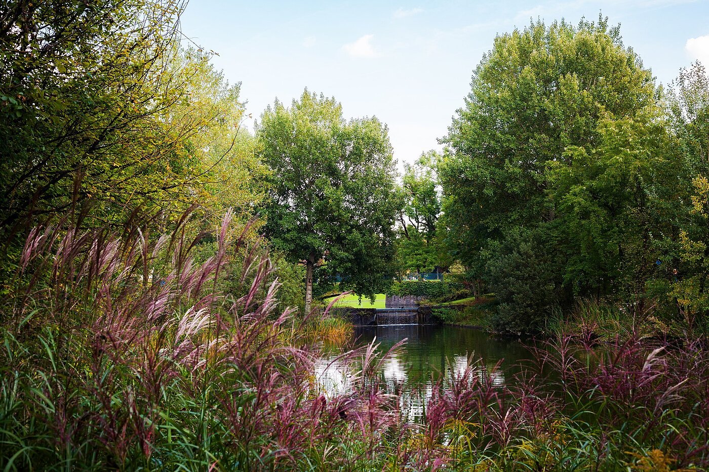 一楼公寓 与 2 房间 | München-Sendling-Westpark | 2003ML11