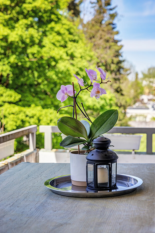 多层公寓 与 3 房间 | München-Trudering | 70443 | Sonniger Westbalkon