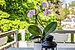 多层公寓 与 3 房间 | München-Trudering | 70443 | Sonniger Westbalkon | Thumbnail