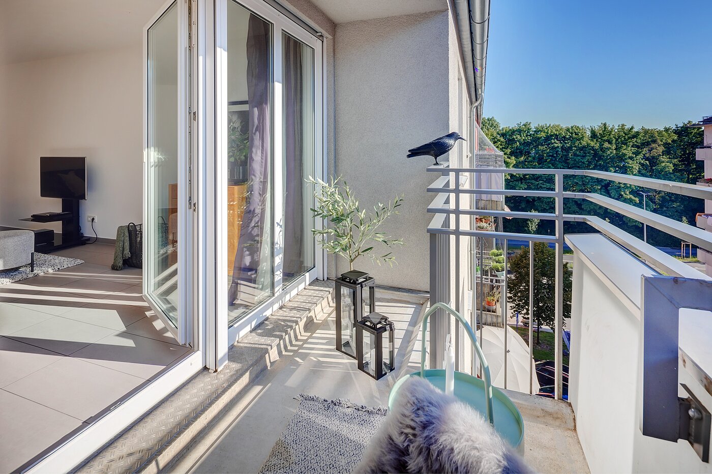 多层公寓 与 2.5 房间 | München-Obergiesing | 70270 | ...mit viel Platz