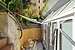办公室 | München-Maxvorstadt | 70498 | Terrasse | Thumbnail