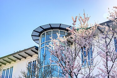Fasangarten：带宽敞屋顶露台的 2.5 居室公寓 - 套房
