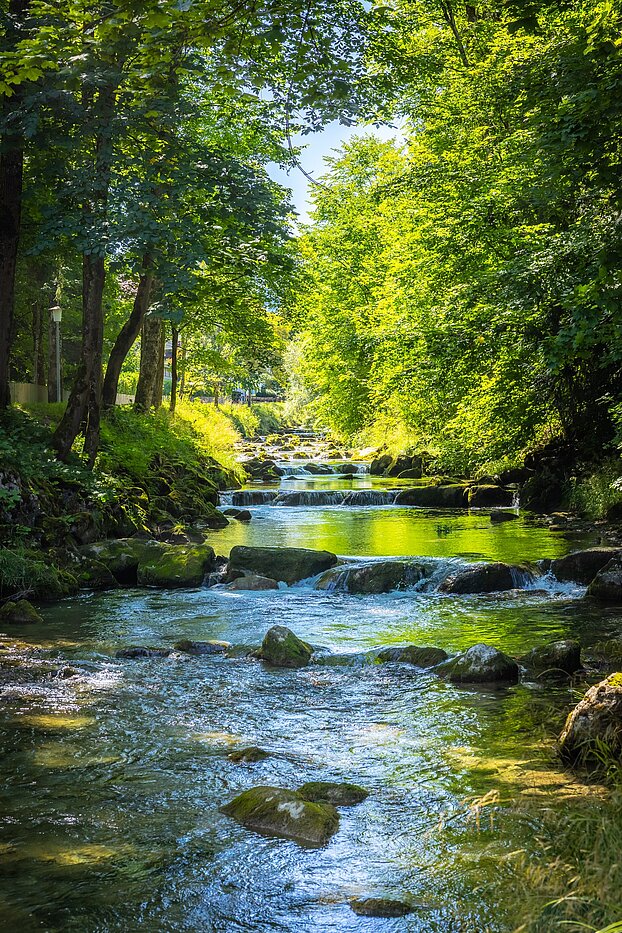 特殊房产 与 15 房间 | Bad Wiessee | 701591 | Söllbach