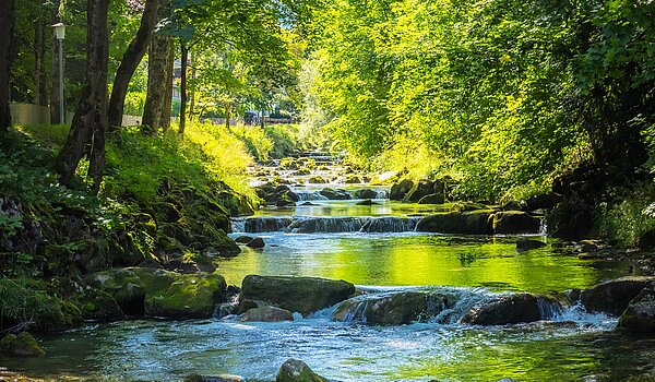 特殊房产 与 15 房间 | Bad Wiessee | 701591 | Söllbach