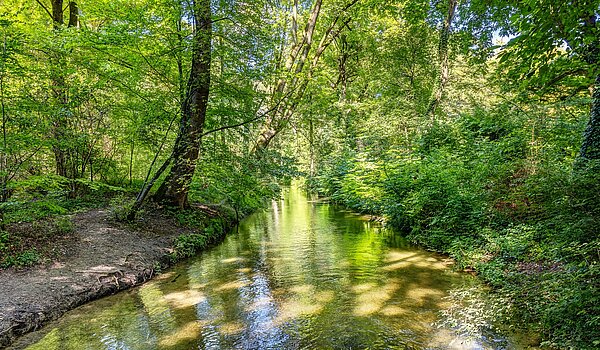 复式公寓 与 3 房间 | München-Lehel | 2209ML5 | ...Englischen Garten...