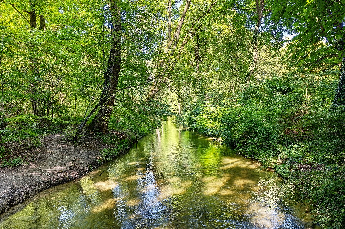 复式公寓 与 3 房间 | München-Lehel | 2209ML5 | ...Englischen Garten...