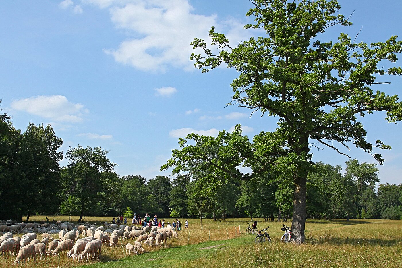 多层公寓 与 1 房间 | München-Freimann | 2105ML4 | Englischer Garten