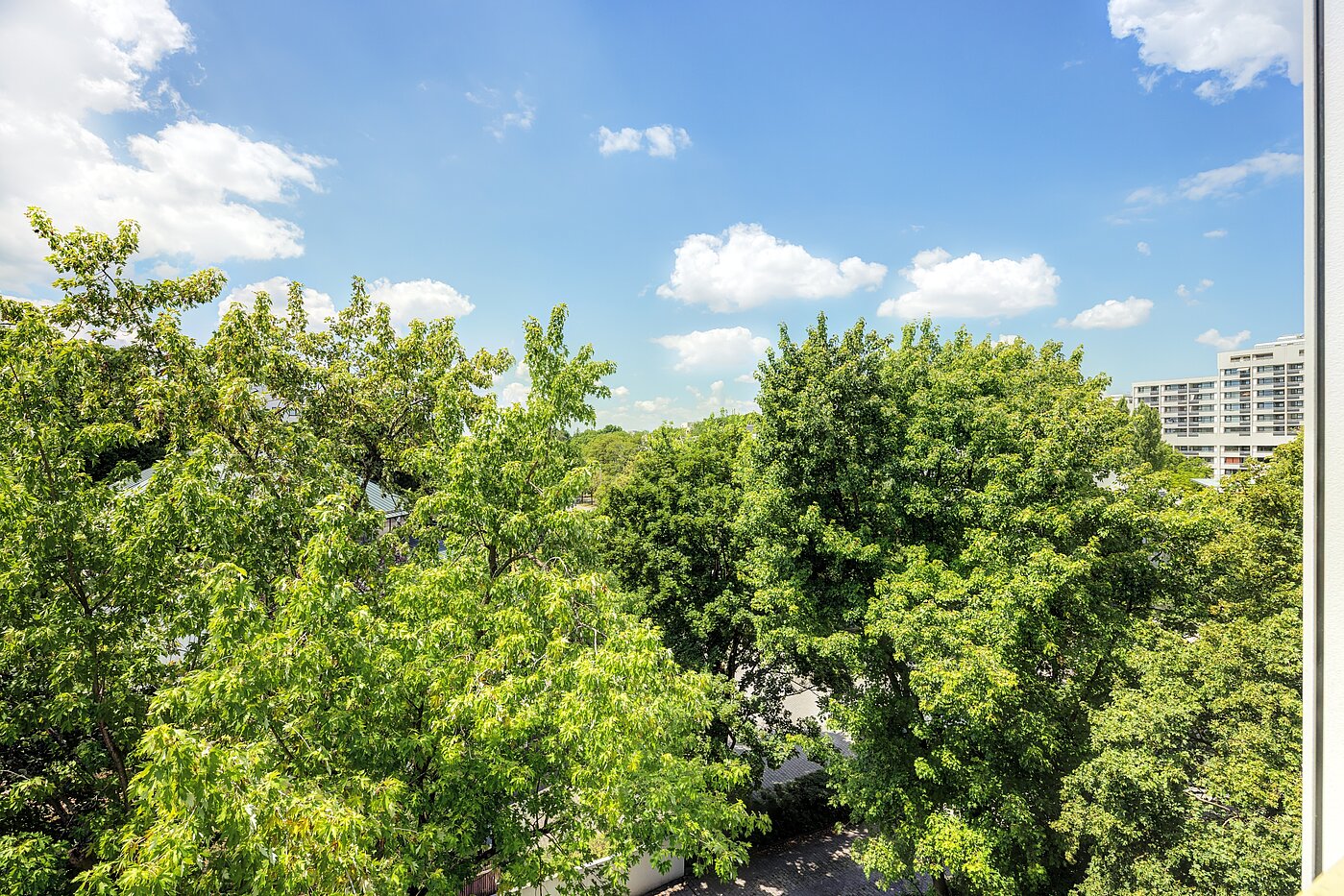 多层公寓 与 2 房间 | München-Hadern | 704101 | Ausblick vom Wintergarten
