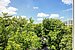 多层公寓 与 2 房间 | München-Hadern | 704101 | Ausblick vom Wintergarten | Thumbnail