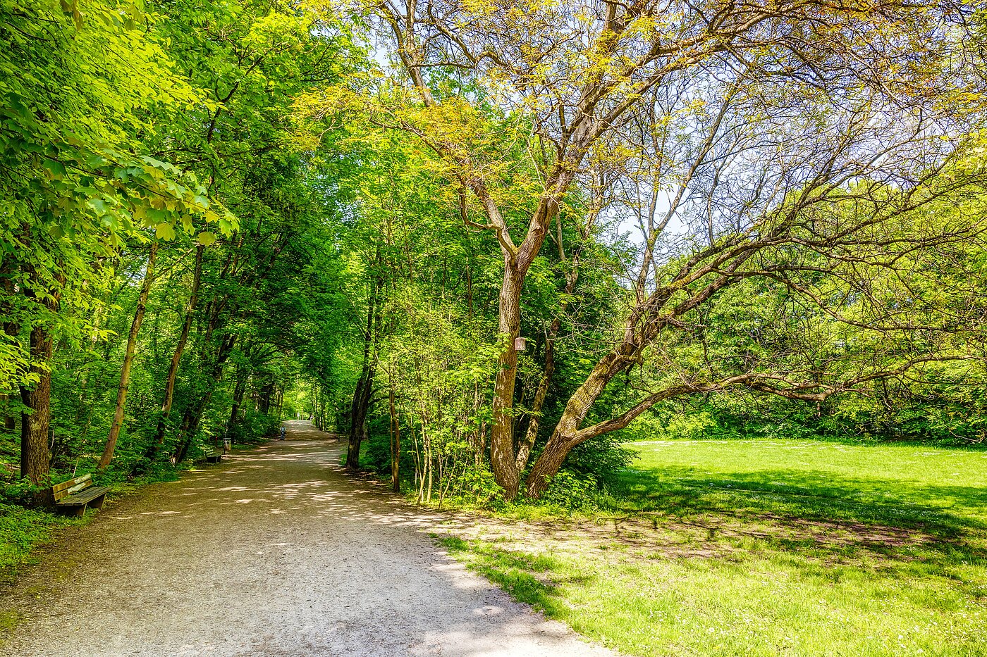 多层公寓 与 2.5 房间 | München-Sendling | 70067 | Vom Sendlinger Park aus...