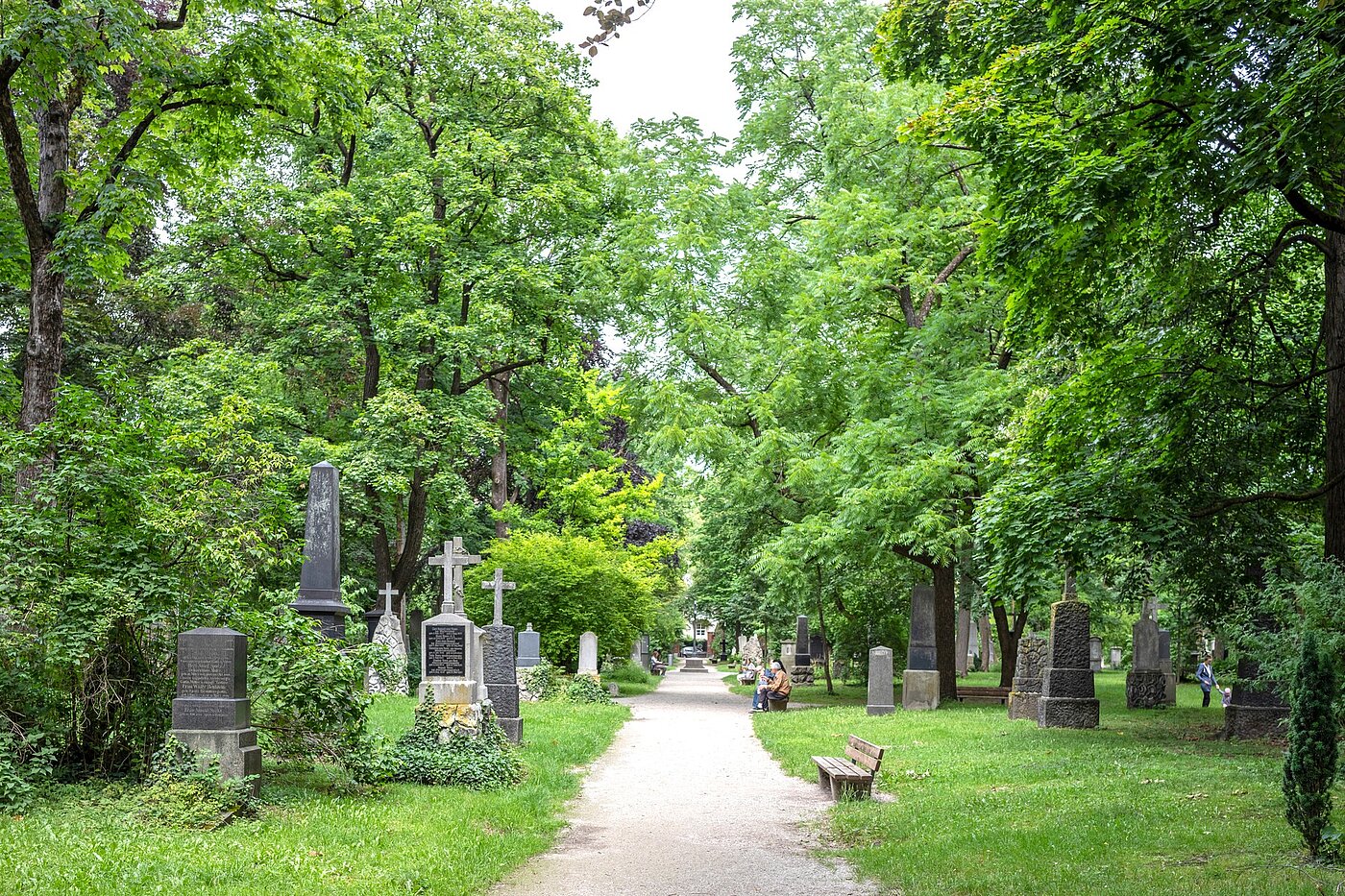 多层公寓 与 3 房间 | München-Maxvorstadt | 70133 | Alter Nordfriedhof