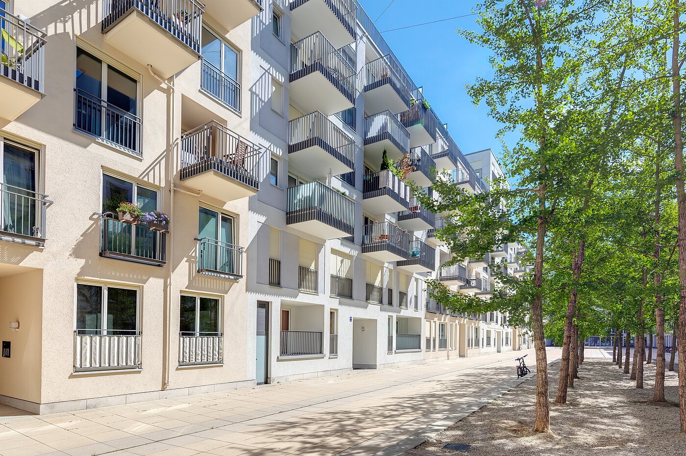 多层公寓 与 2 房间 | München-Maxvorstadt | 70023 | Gepflegtes Objekt