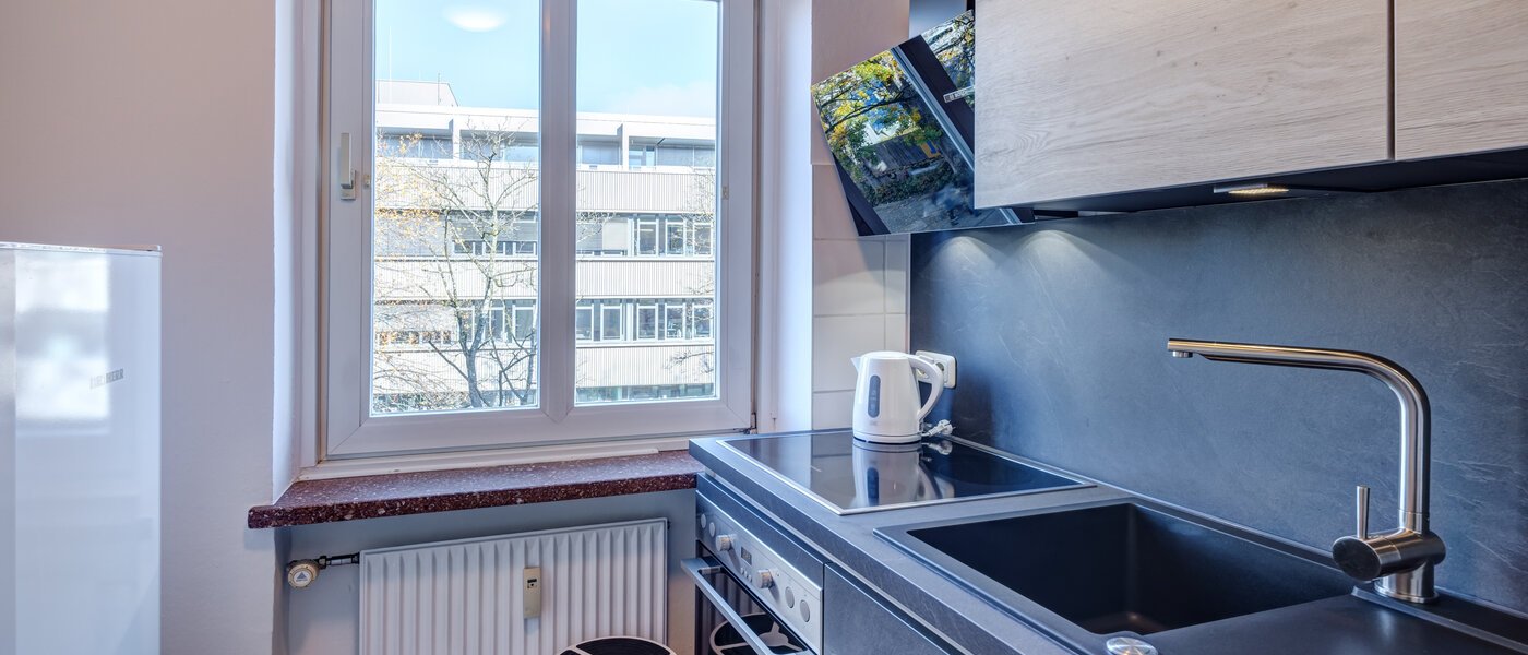 公寓 München Obergiesing 02 厨房 10117