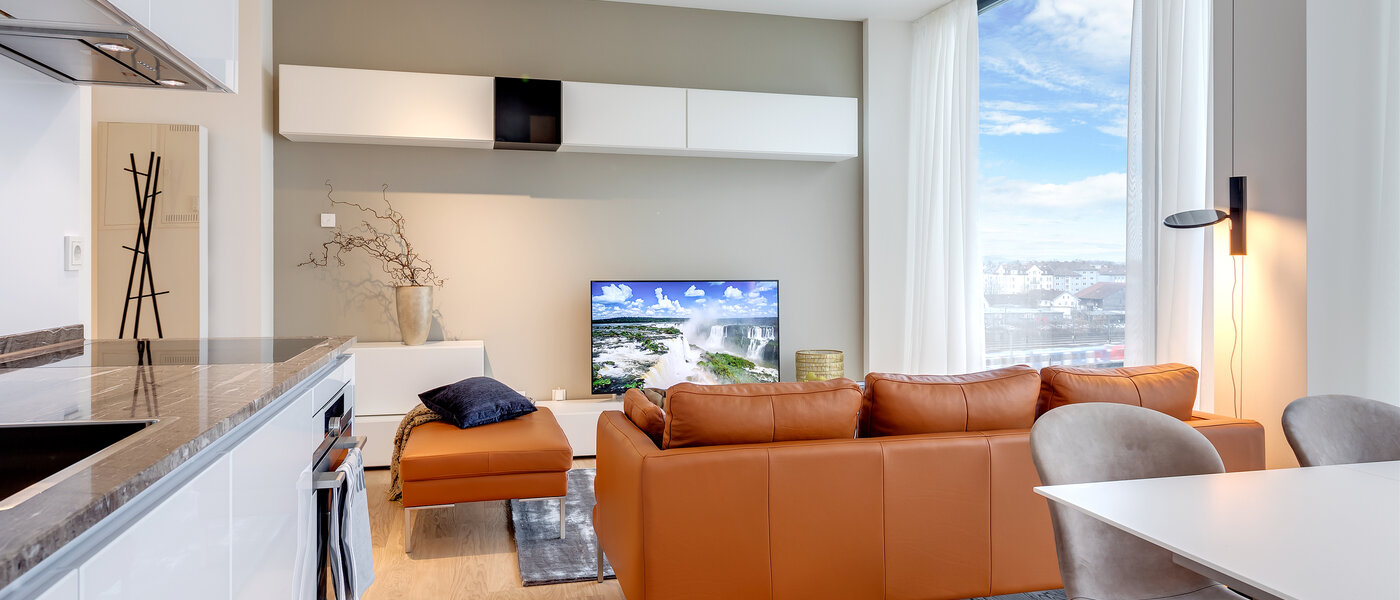 公寓 München Nymphenburg 06 客厅 10338