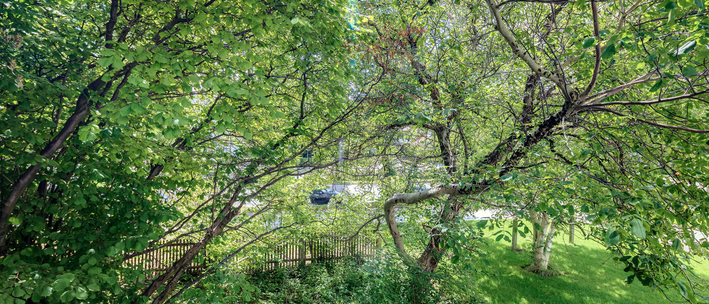 公寓 München Bogenhausen 02 景观 10643