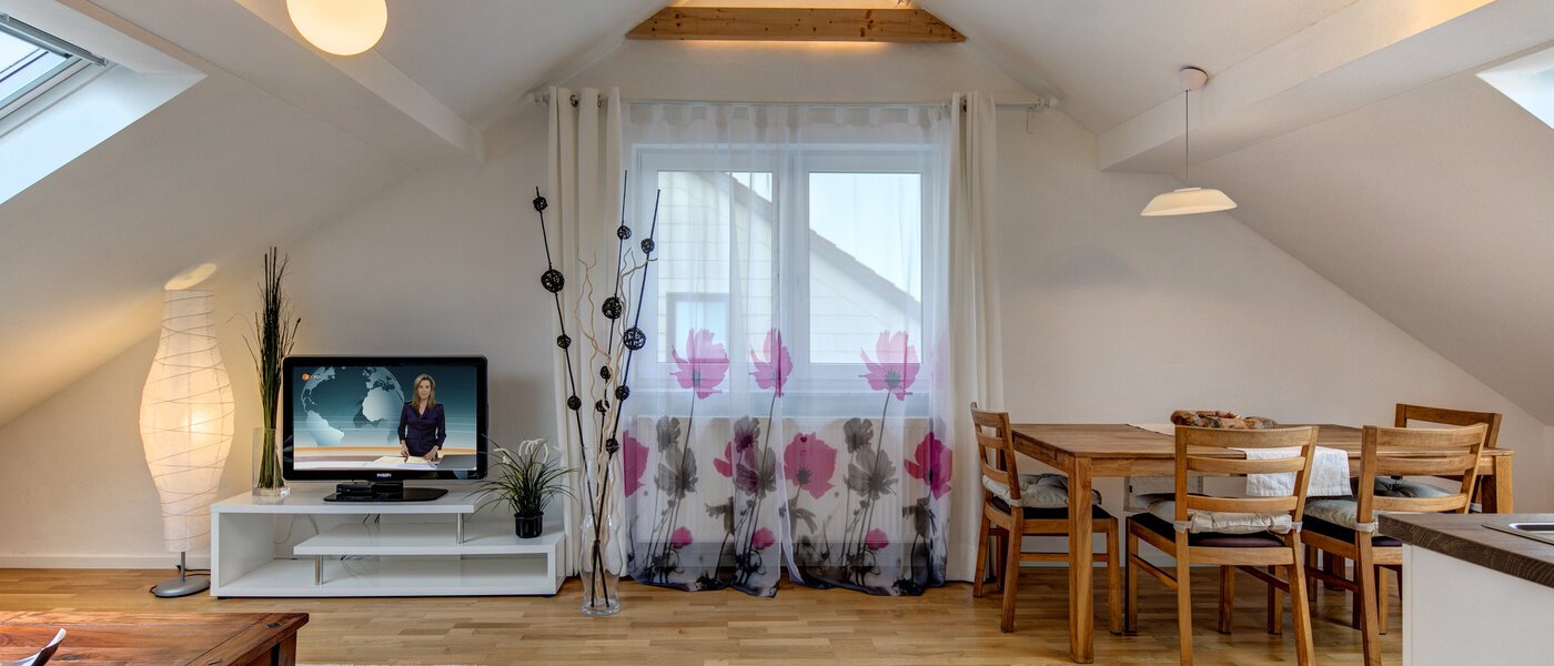 阁楼公寓 Eching 04 客厅 10655