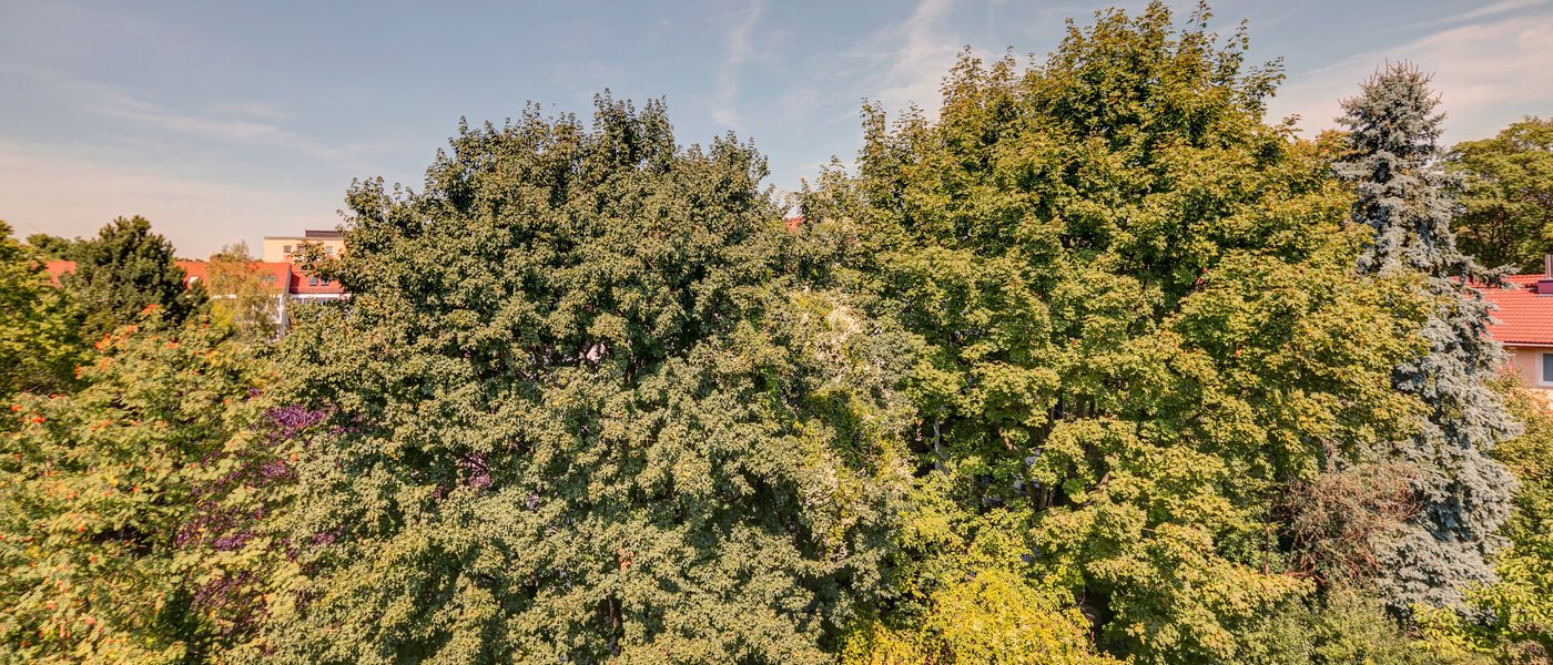 租用公寓 München Ramersdorf 02 景观 10733