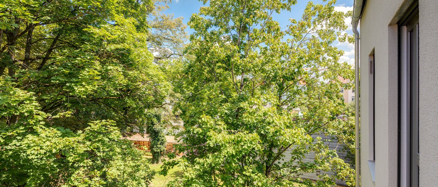 公寓 München Pasing 03 景观 11135